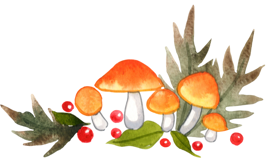 Orange mushroom with fern and red berry border watercolor illustration.